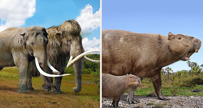 37 Comparisons Of The Sizes Of Prehistoric Animal Ancestors And Their Modern Relatives By Roman Uchytel