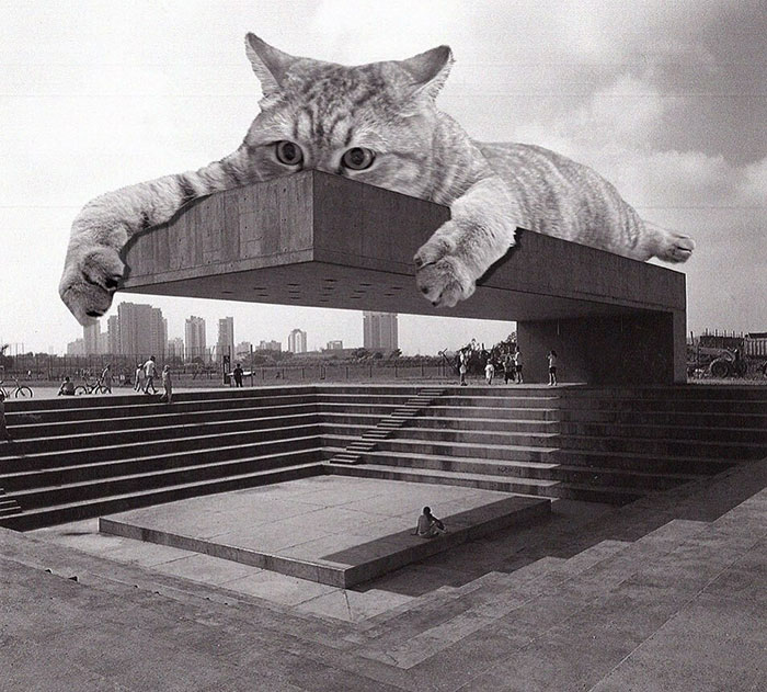 Instagram Account Combines Brutalist Architecture With Giant Cats And The Result Is Adorable (87 Pics)