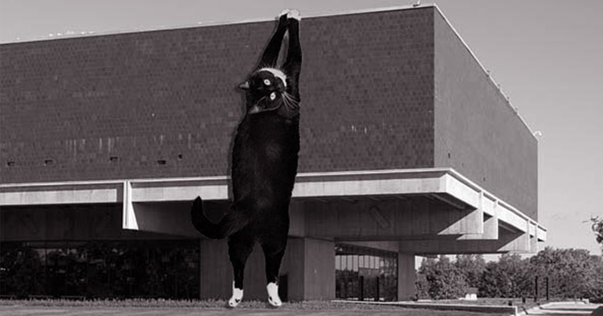 Instagram Account Combines Brutalist Architecture With Giant Cats And The  Result Is Adorable (87 Pics) | Bored Panda
