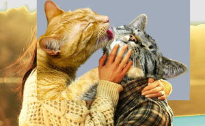 Here Are 50 Crazy Photo Collages By Turkish Artist