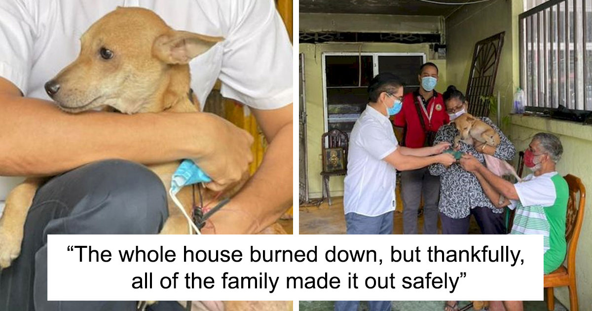 This Family Of Five Got Saved By A Dog Who Woke Them Up During A Fire ...