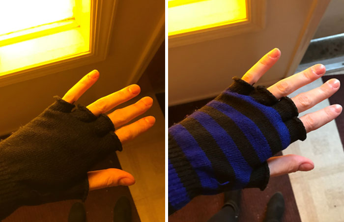 This Window Filters Out The Exact Wavelength Of Light That My Gloves Reflect
