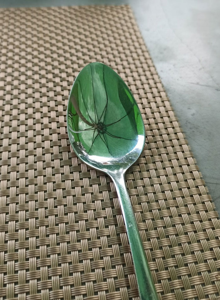 Umbrella Reflection In Spoon