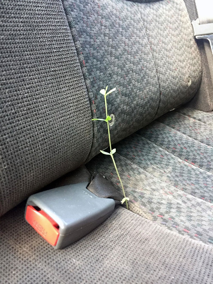 Life Finds A Way