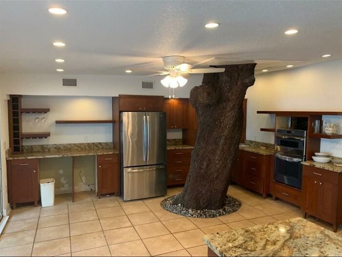 A Listing In Gulfport, Fl USA. I Have Seen It All. Can We Install And Island? No, The Tree Is In The Way