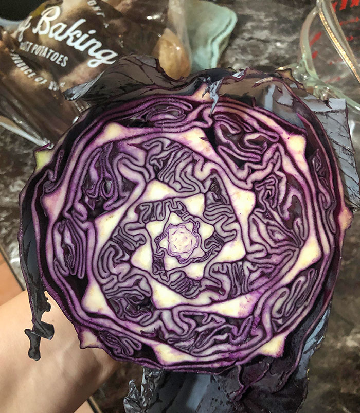 The Inside Of My Purple Cabbage