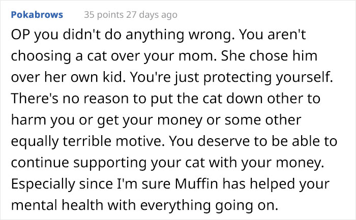 Teen Asks If She Was Wrong To Run Away With Her Cat After Her Stepdad Attempts To Secretly Euthanize It