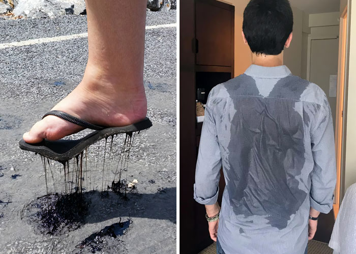 47 Pics That Show The Consequences Of Summer Heatwaves