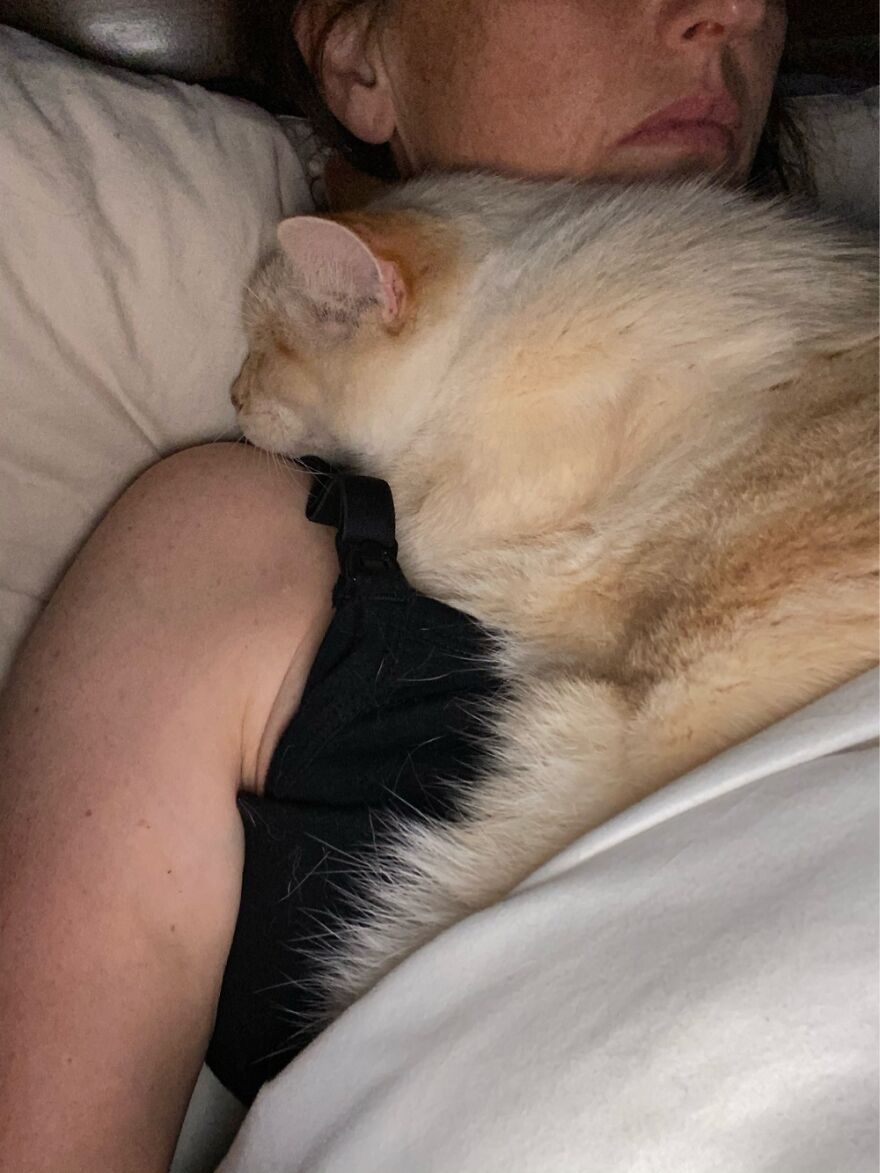 How Close My Orville Sleeps To Me At Night