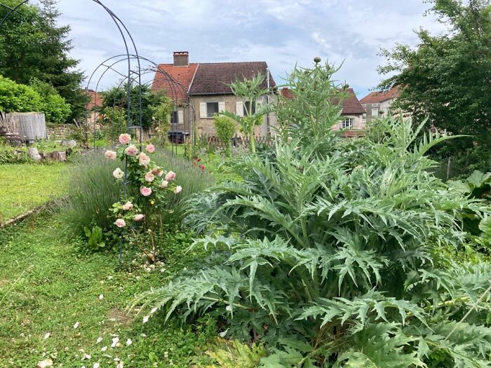 My House Seen From My Garden (Haute Marne France).