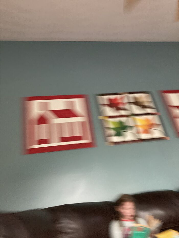 I Was Trying To Take A Pic Of My Moms Art.