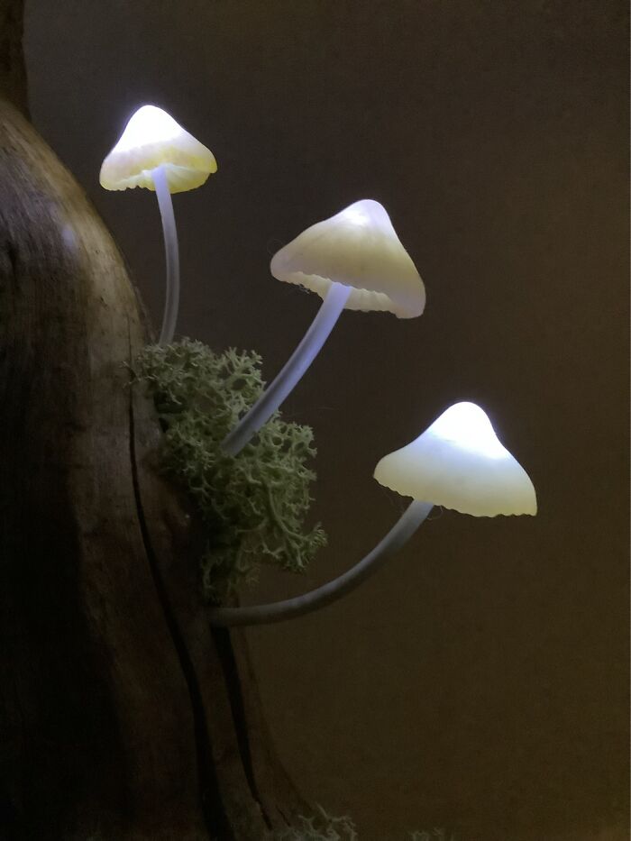 We Have Been Making LED Light-Up Mushrooms