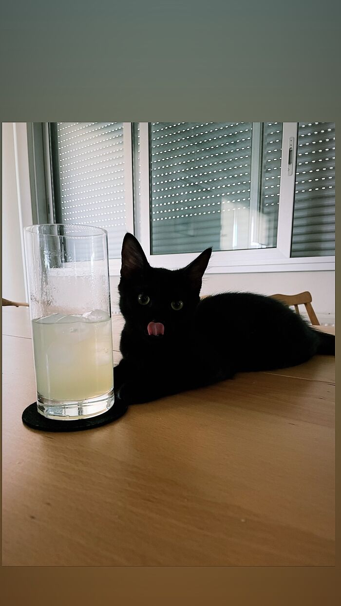He Loves Licking The Glass With Of Ice Cold Lemonade:)