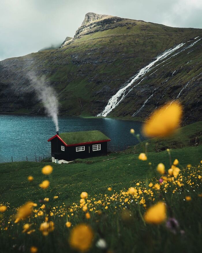 Scandinavian Cabin
