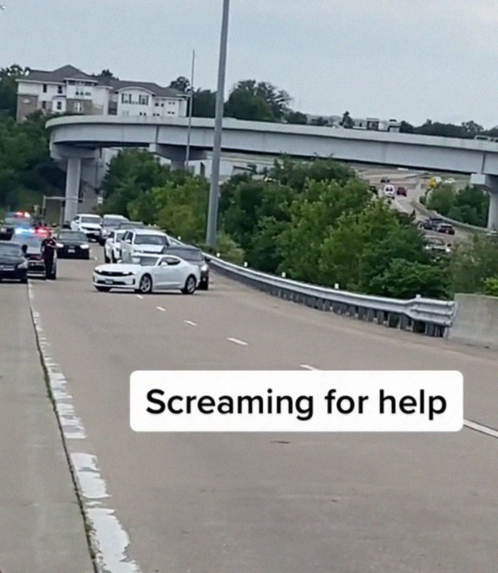 Numerous Drivers Pull Over To Check On A Black Woman Who Was Stopped By Cops And Was Screaming For Help