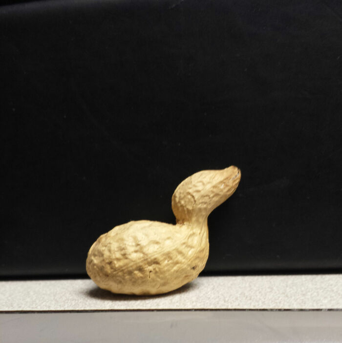 This Peanut Looks Like A Duck