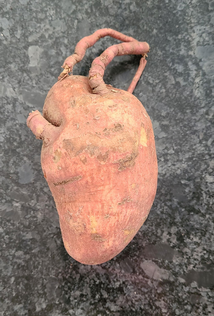 This Sweet Potato That Looks Like A Human Heart