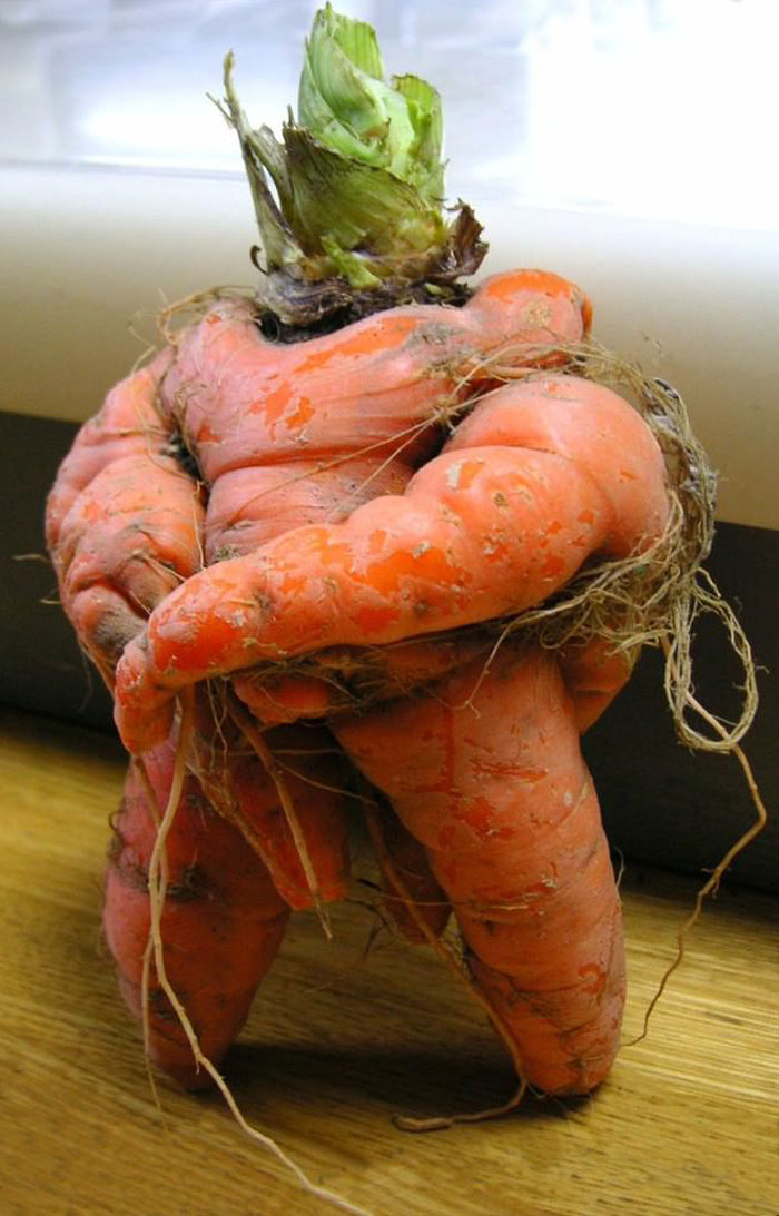 Buff Carrot