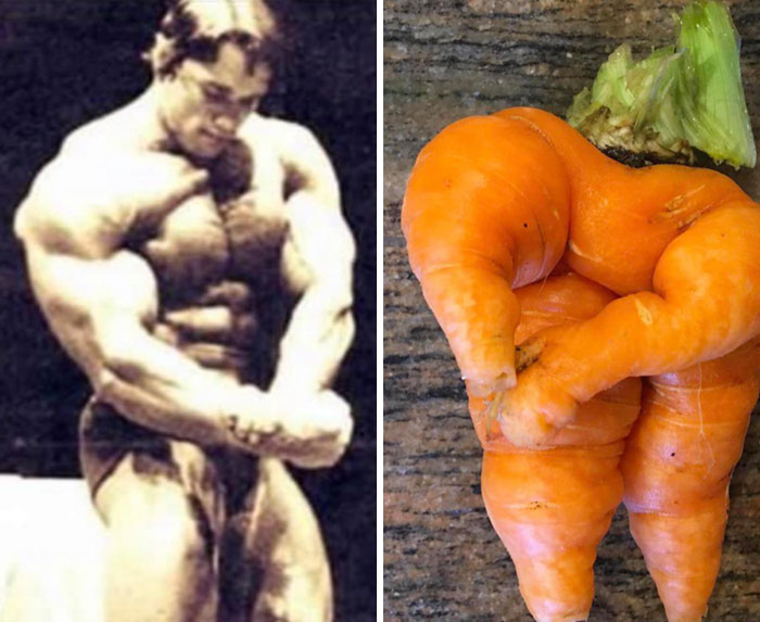 Mi hermana cultivó una zanahoria que se parece a Arnold