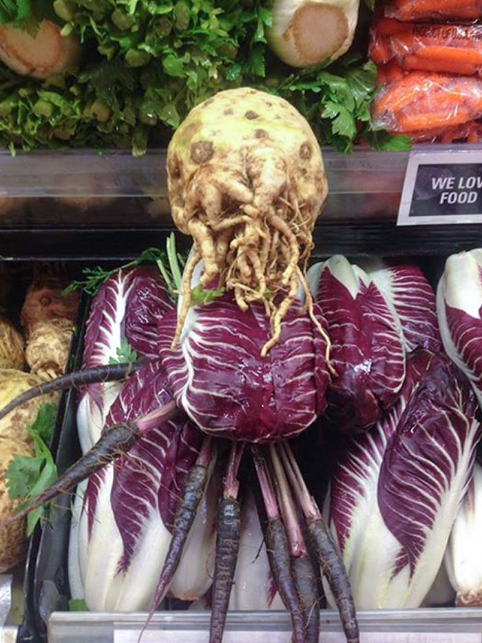 This Vegetable Looks Like An Ood From Dr. Who