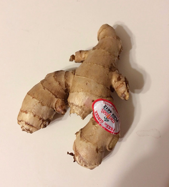 My Ginger Root Looks Like A Lobster