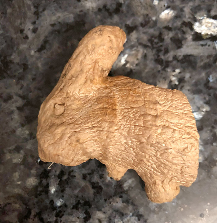 This Piece Of Ginger Looks Like A Rabbit