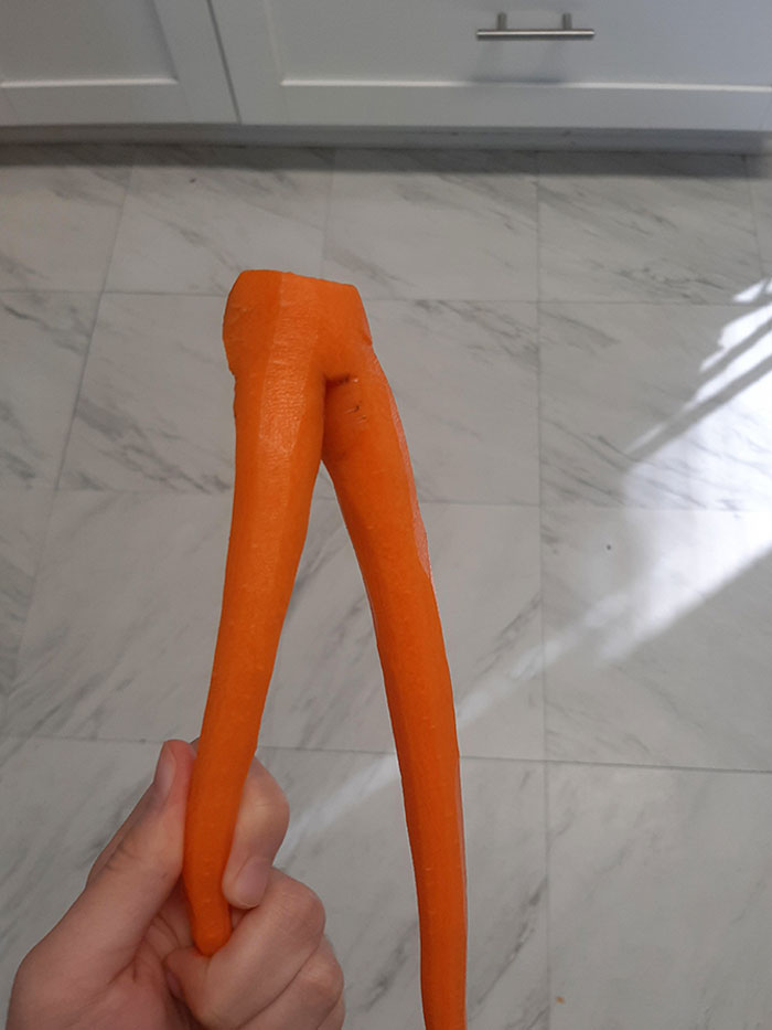 Half-Human Half-Carrot