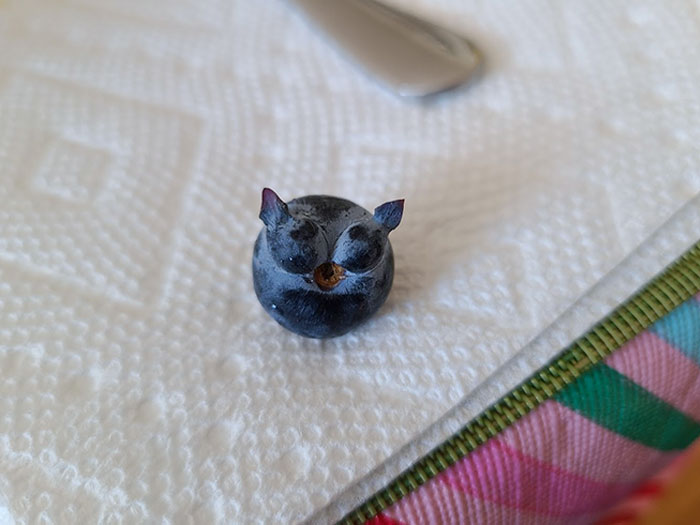 This Blueberry Looks Like An Owl's Head