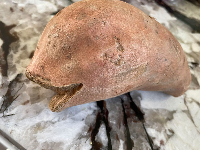 This Sweet Potato Looks Like A Happy Little Whale