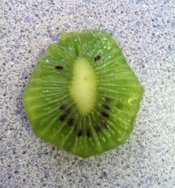 Found This Happy Kiwi In My Lunch Yesterday