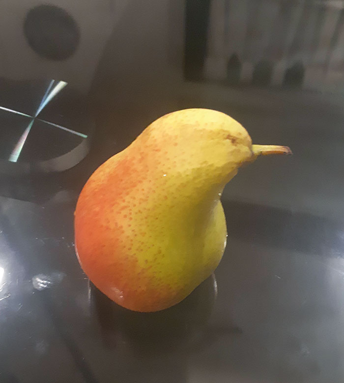 Pear That Looks Like A Kiwi (Bird)