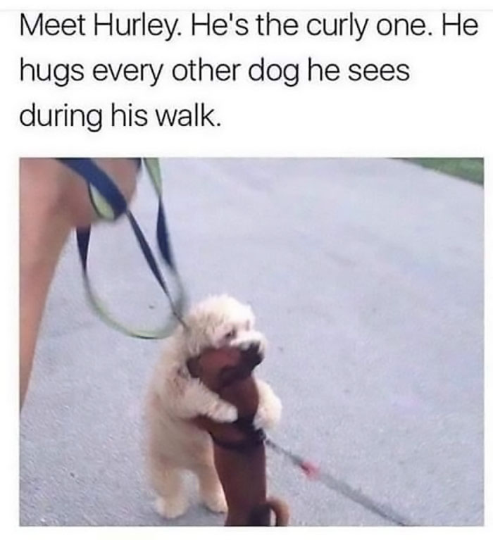 People-Share-Super-Wholesome-Pics