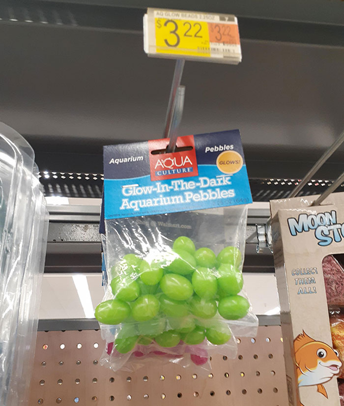 Found Some Forbidden Grapes Growing In The Pet Department At Walmart
