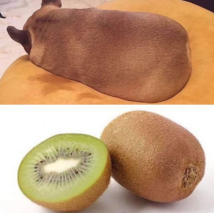 Este kiwi tiene un aspecto extraño