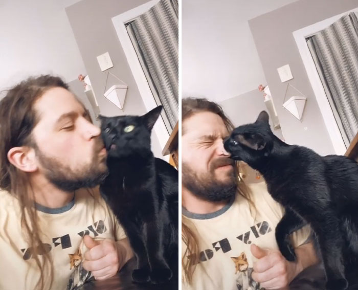 Owners Wanted To See The Reactions Of Their Pets After They Get Unexpected Kisses (45 Pics)