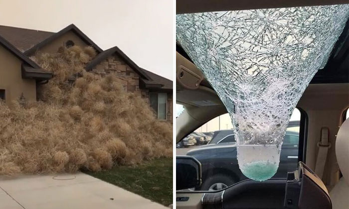 50 Times Nature Made People Go “Well, That Sucks”