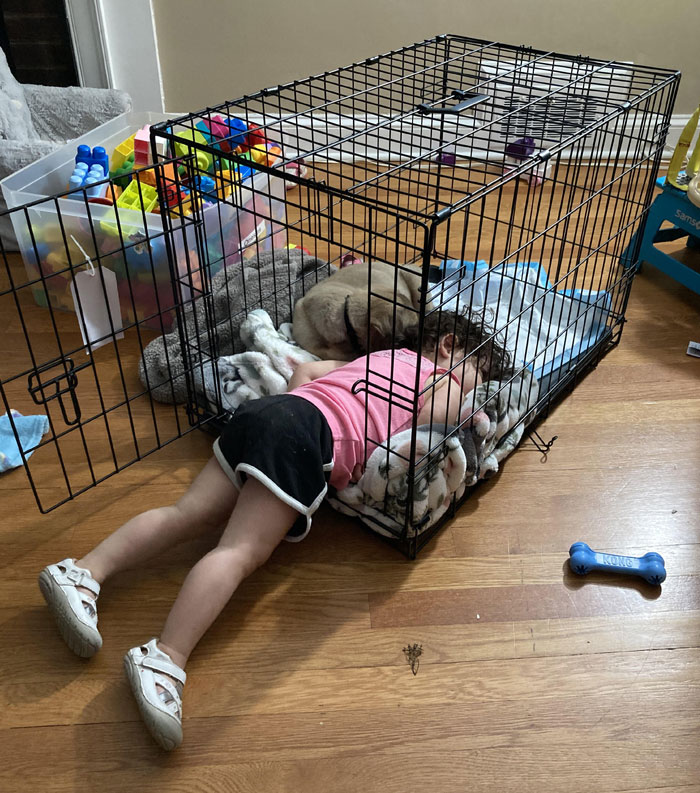 Adopted Our First Family Puppy Today. Found My 2-Year-Old And Puppy Like This On Day 1 - I Think We Found A Winner