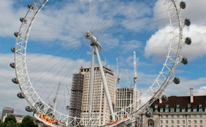 50 People Online Share The Dumbest Things They Ever Heard An American Blurt Out