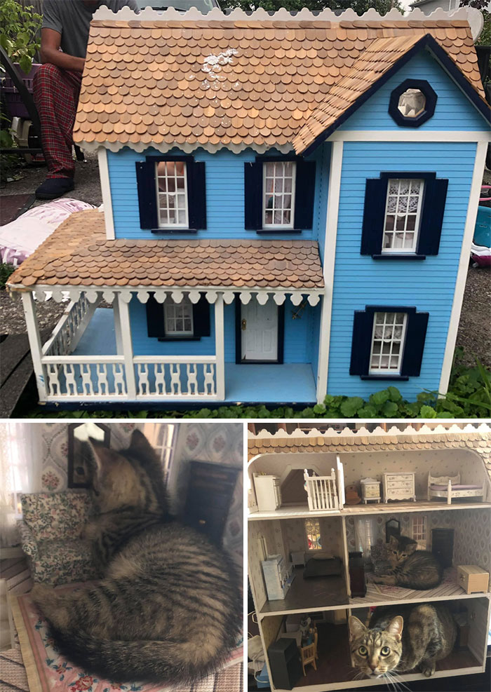Compré una casa de muñecas en una venta de garaje para que mi hija y yo la redecoráramos, pero Andy y Rosey (nuestros gatitos de acogida) son unos pequeños aprovechados y decidieron mudarse