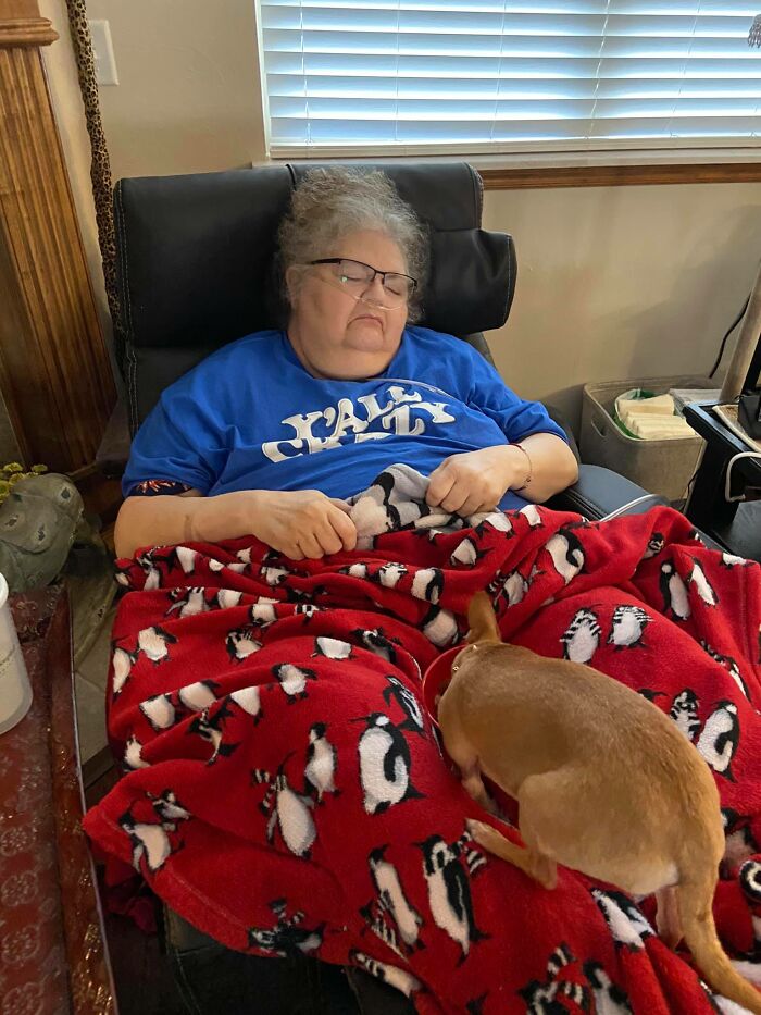 My Mom Is On Hospice And Her Little Chihuahua Stays At Her Side 24/7. My Dad Feeds Him Dinner In Her Lap Every Night And Then Brings His Water Over To Him