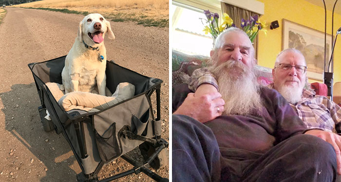 If You’re Feeling Down, These 50 Wholesome Posts Might Lift You Up (New Pics)