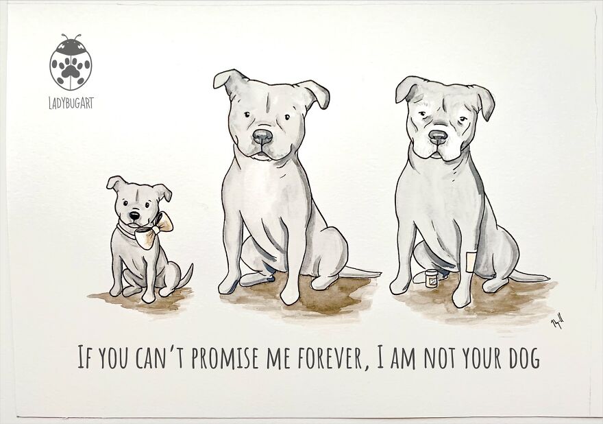 I Love Using My Art Platform To Promote Rescue Dogs
