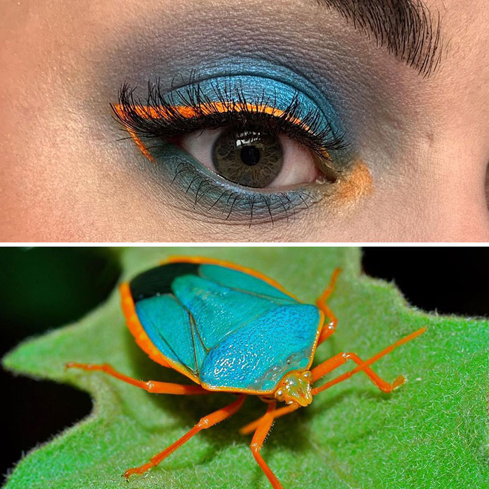 Artist Shows The Beauty Of Insects With Her 30 Matching Eye Makeup Looks