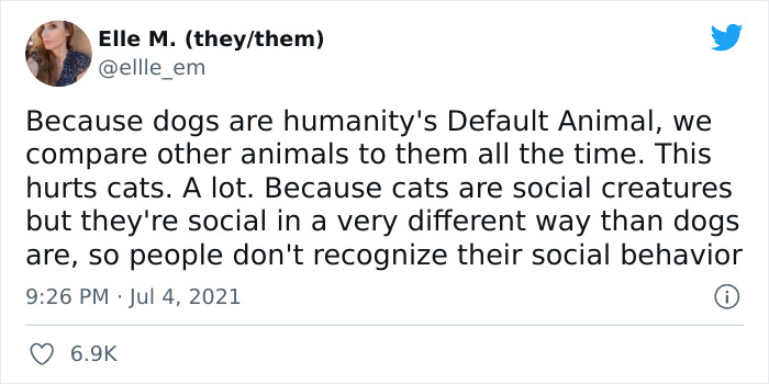Cat Rescuer Explains How Cat Social Behavior Is Often Misinterpreted By ‘Dog People’