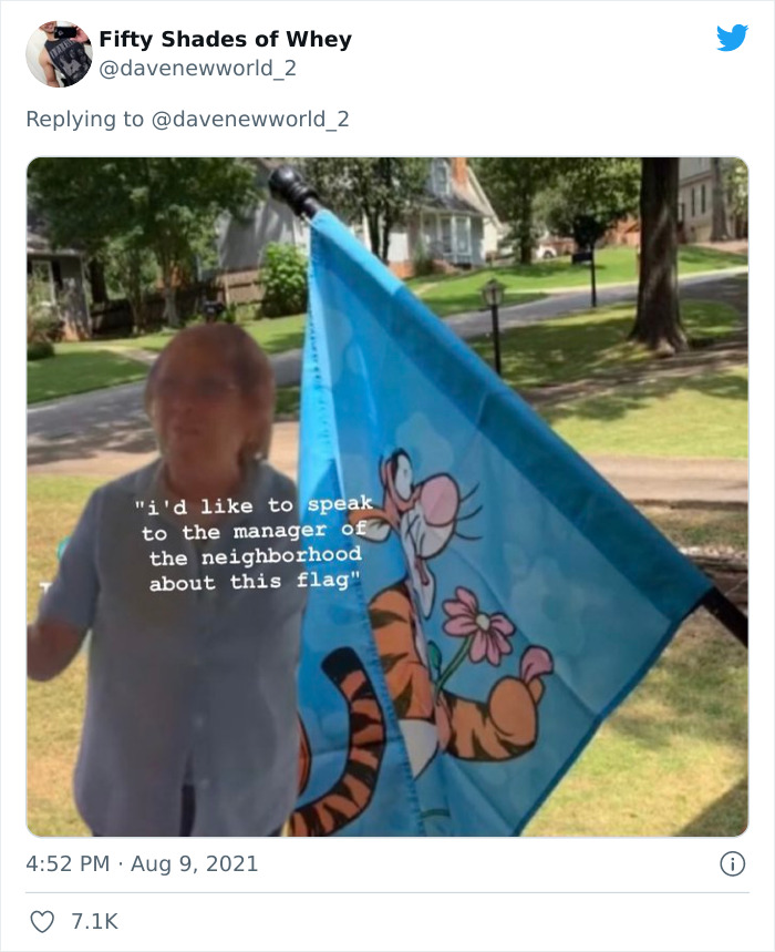 Joyless Karen Is Triggered By A Tigger Flag That Her Neighbor Has, Goes Viral On TikTok