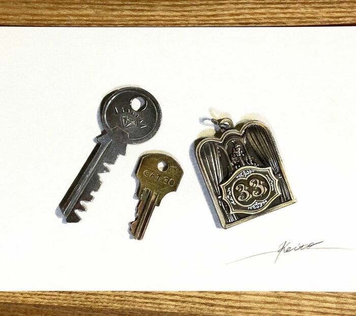 Artist Materializes Everyday Objects And Transforms Them Into Incredible 3D Drawings (29 Pics)