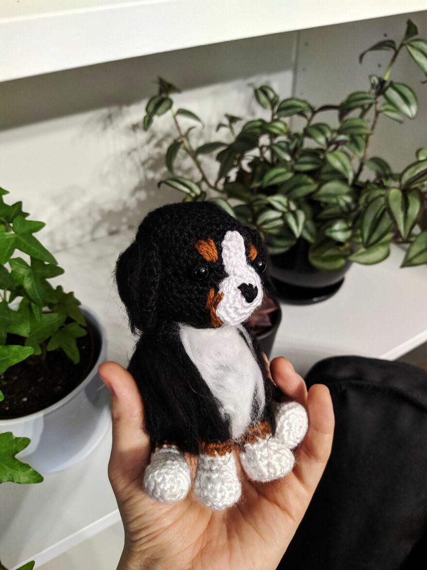 I Made This Tiny Bernese Dog!