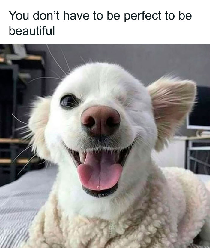 Cute-Wholesome-Blessed-Pics
