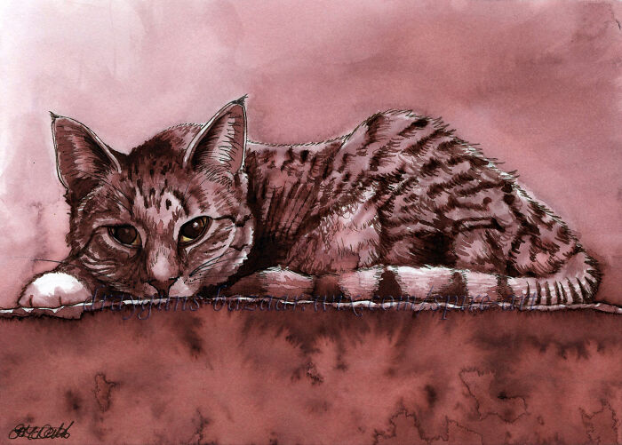 Titled 'Comfort.' This Is My Cat Named Pudding, It's Not 'Watercolour' Per-Say But I Painted Using A Single Colour Ink Meant For Fountain Pens. The Ink Is A Brown Made By Waterman And I Used Several Watercolour Methods.