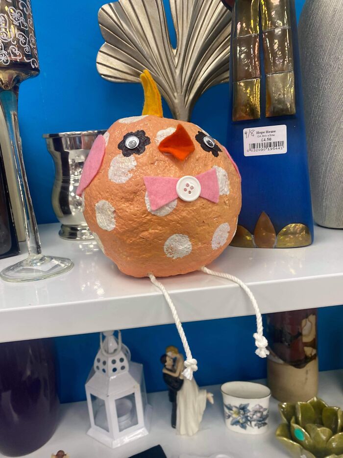 I Like Finding Horrible Tat In Charity Shops, Theres A Facebook Group For And My Camera Roll Is Full Of Pictures Of The Weirdest Stuff Ive Found 😅